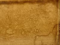ヌメ革のシミ モノグラム カバ メゾ  ブラウン トートバッグ M51151