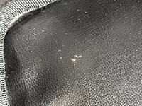 内装の汚れ ビコローレ ラムスキン ブラック バニティ ハンドバッグ A01618